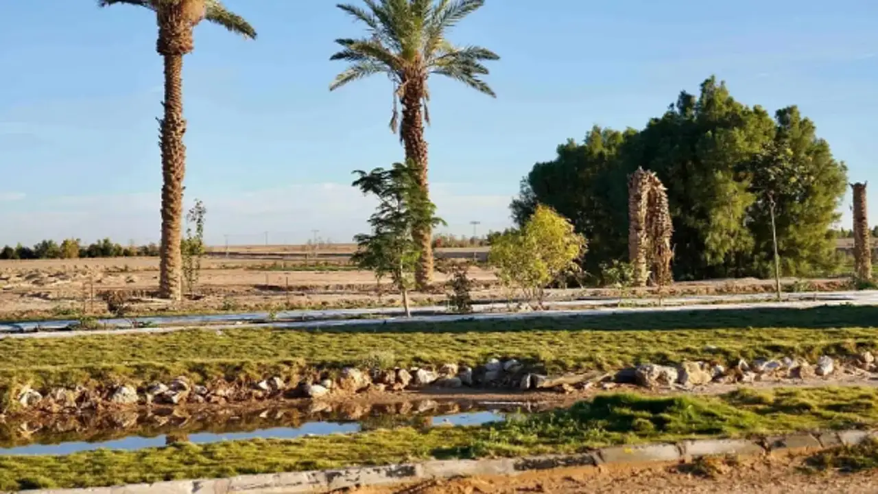 بيئة رابغ تطلق جولة إرشادية لدعم المزارعين وتعزيز الاستدامة الزراعية